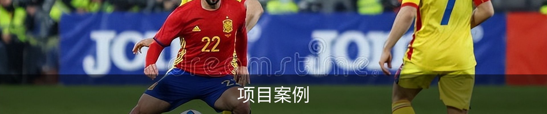 项目案例